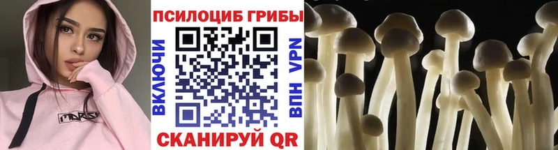 Псилоцибиновые грибы мицелий  купить наркоту  сайты даркнета клад  Демидов 